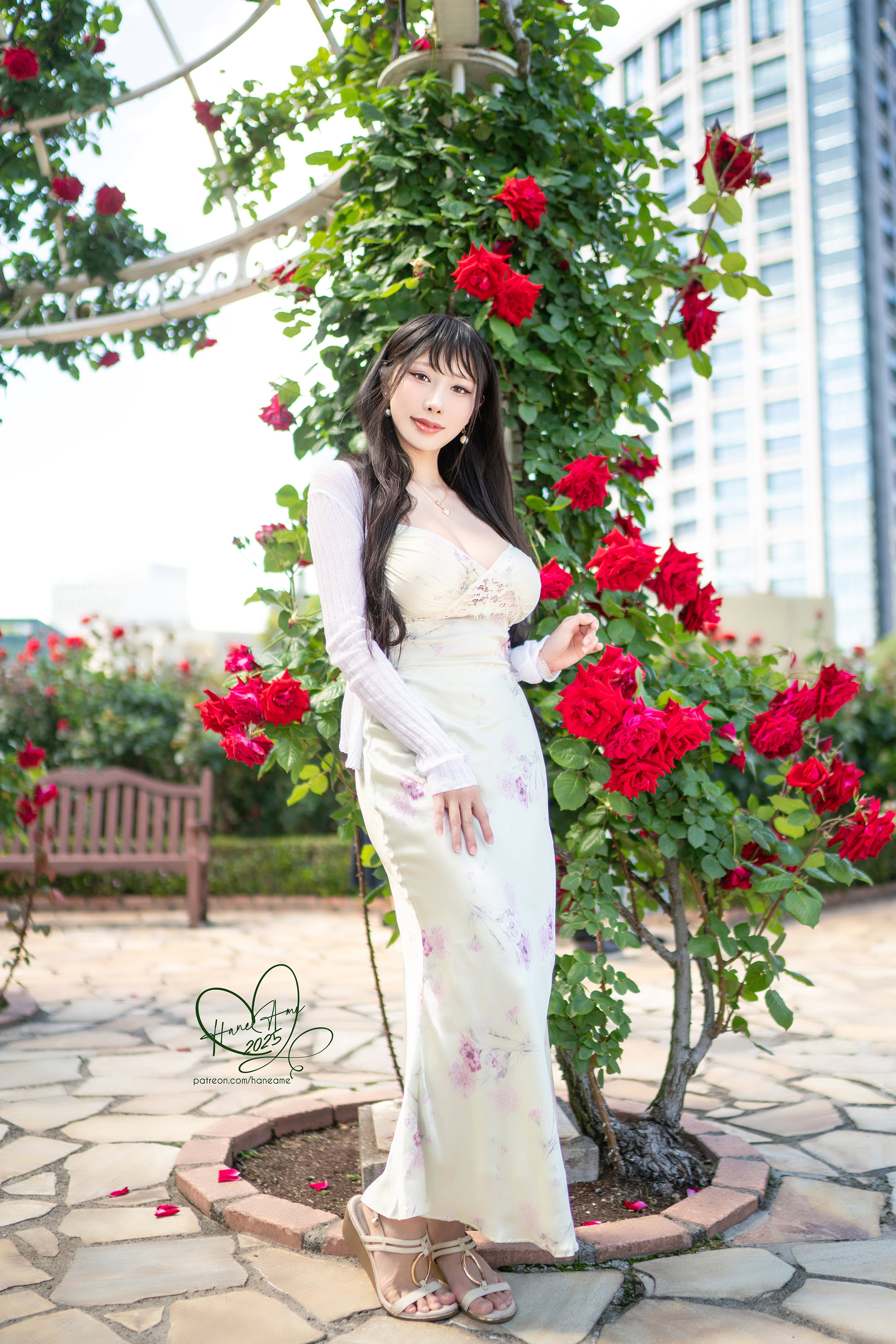 HaneAme雨波 – 原创 玫瑰刚好绽放
